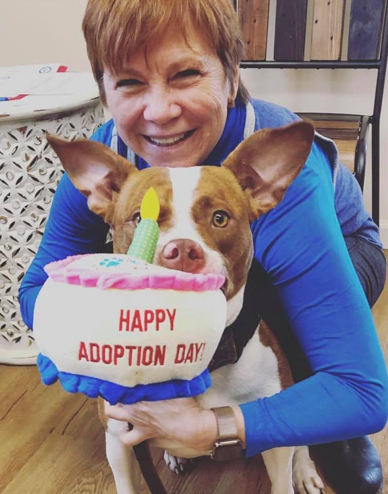 woman with dog celebrates adoption day