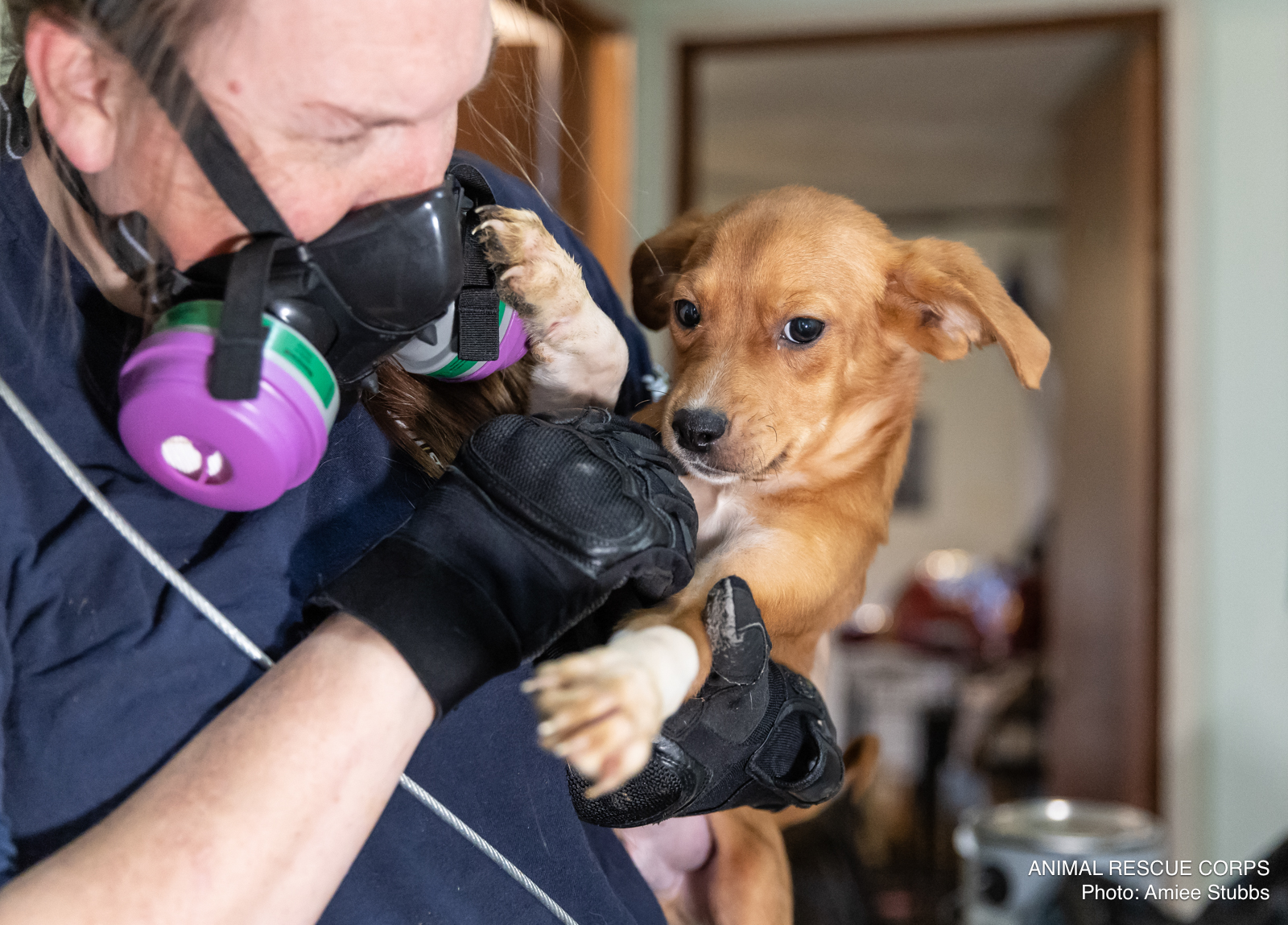 woman with tiny dog