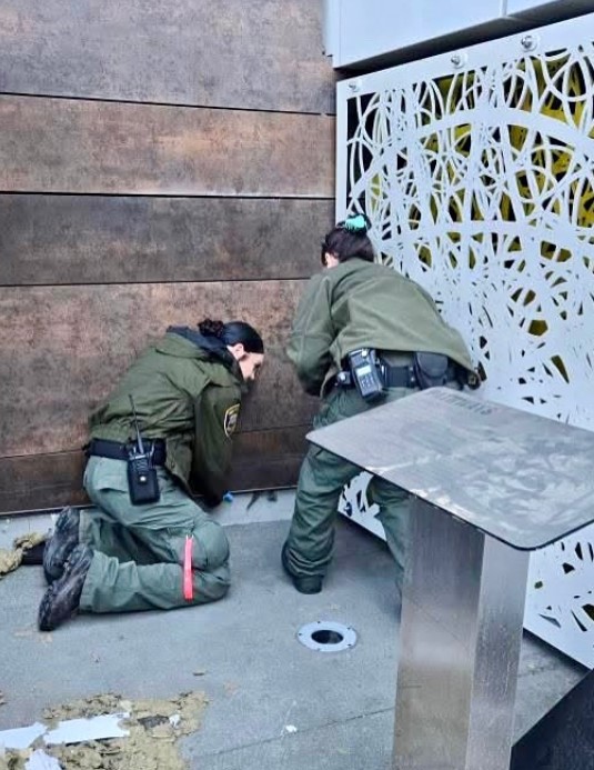 workers save the mouse