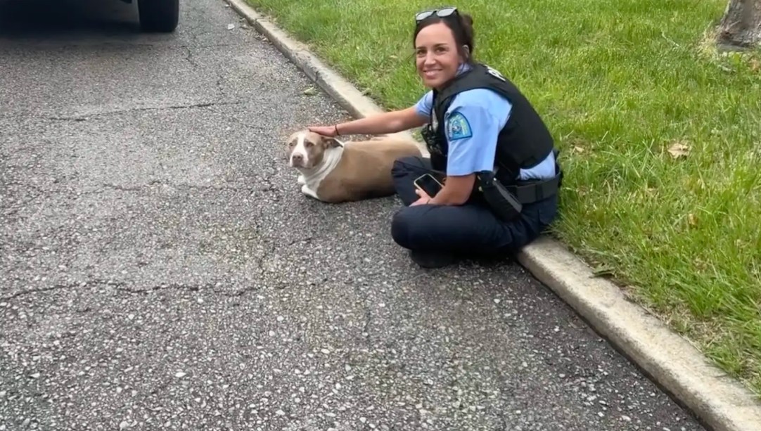 A policewoman and a dog are sitting on the sidewalk