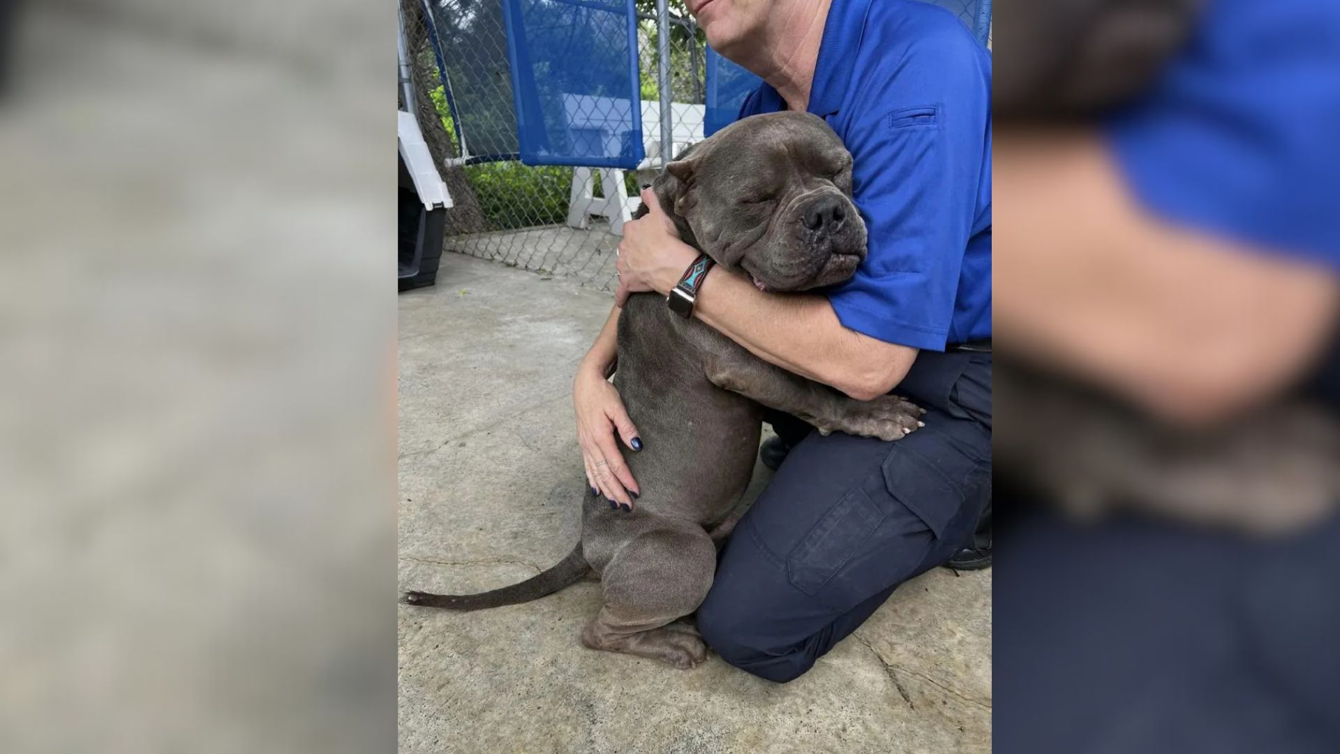 After Being Found Alone, A Texas Pup Wraps His Rescuers In An Unforgettable Hug