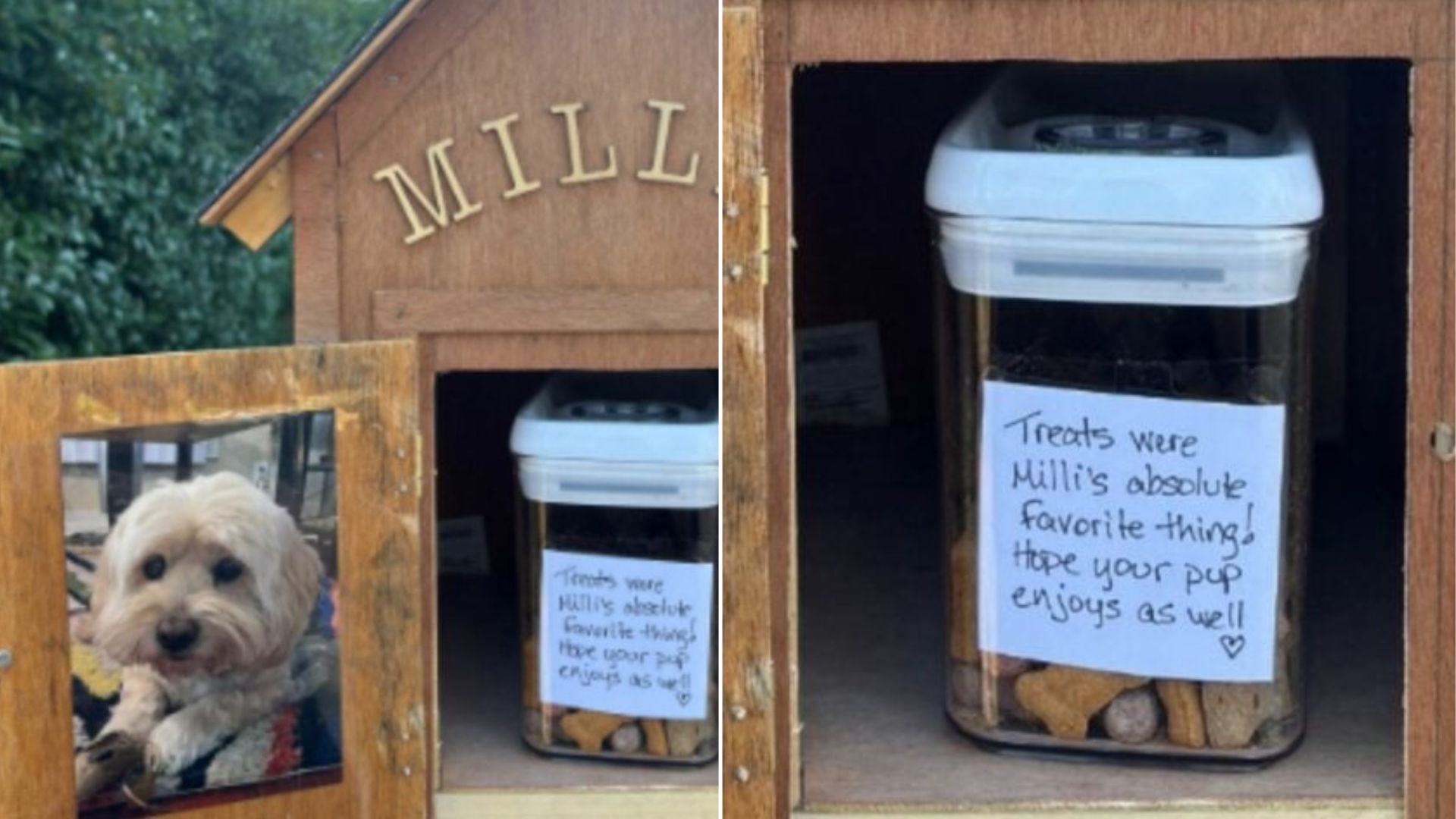 California Neighborhood Surprise Leaves A Dog Lover Crying On The Sidewalk