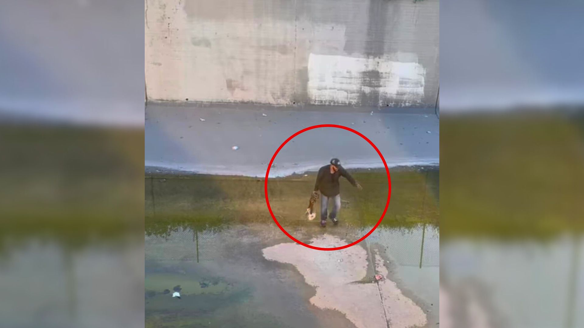 California Puppy Trapped With No Way Out Is Pulled Toward Safety In A Tense Rescue Mission