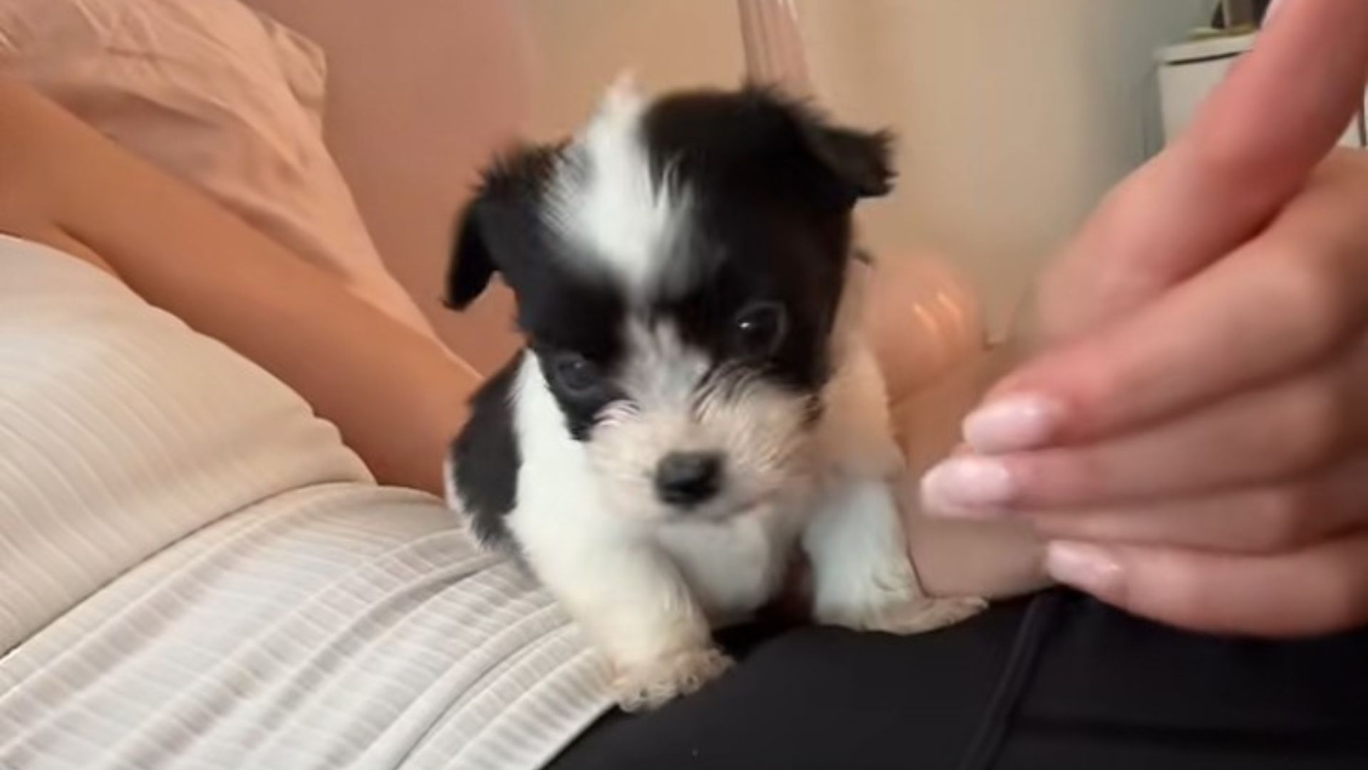 California Resident Encounters A Paper Bag With A Heartbreaking Secret