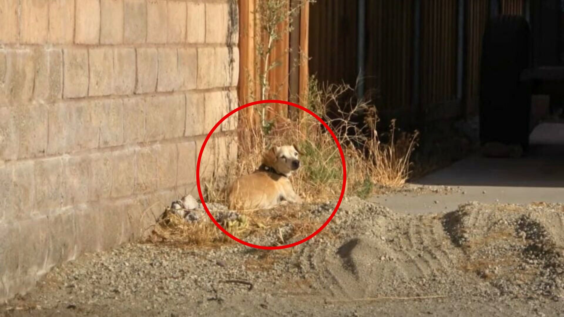California Residents Confront A Heartbreaking Mystery As A Lone Figure Appears In The Desert