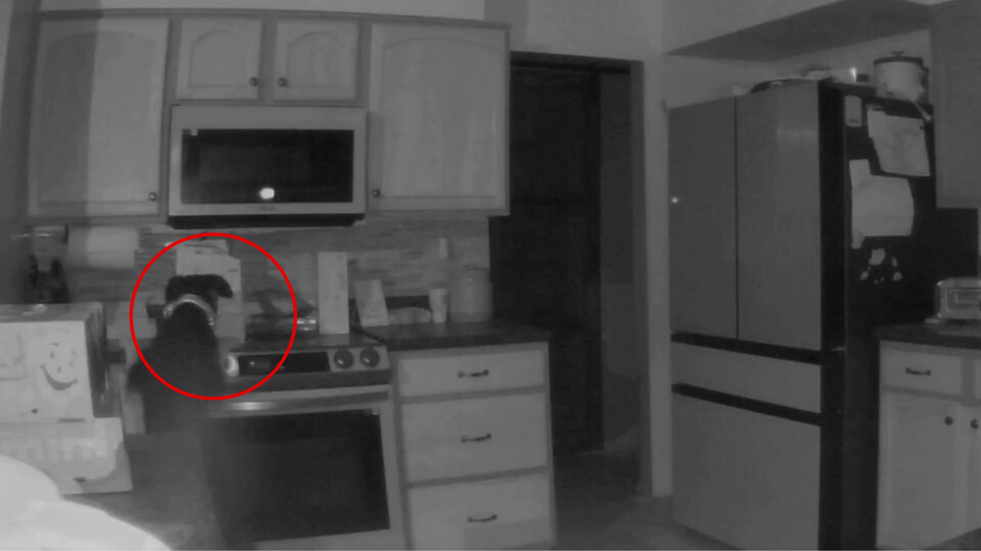 Colorado Family Jolted Awake By Fire