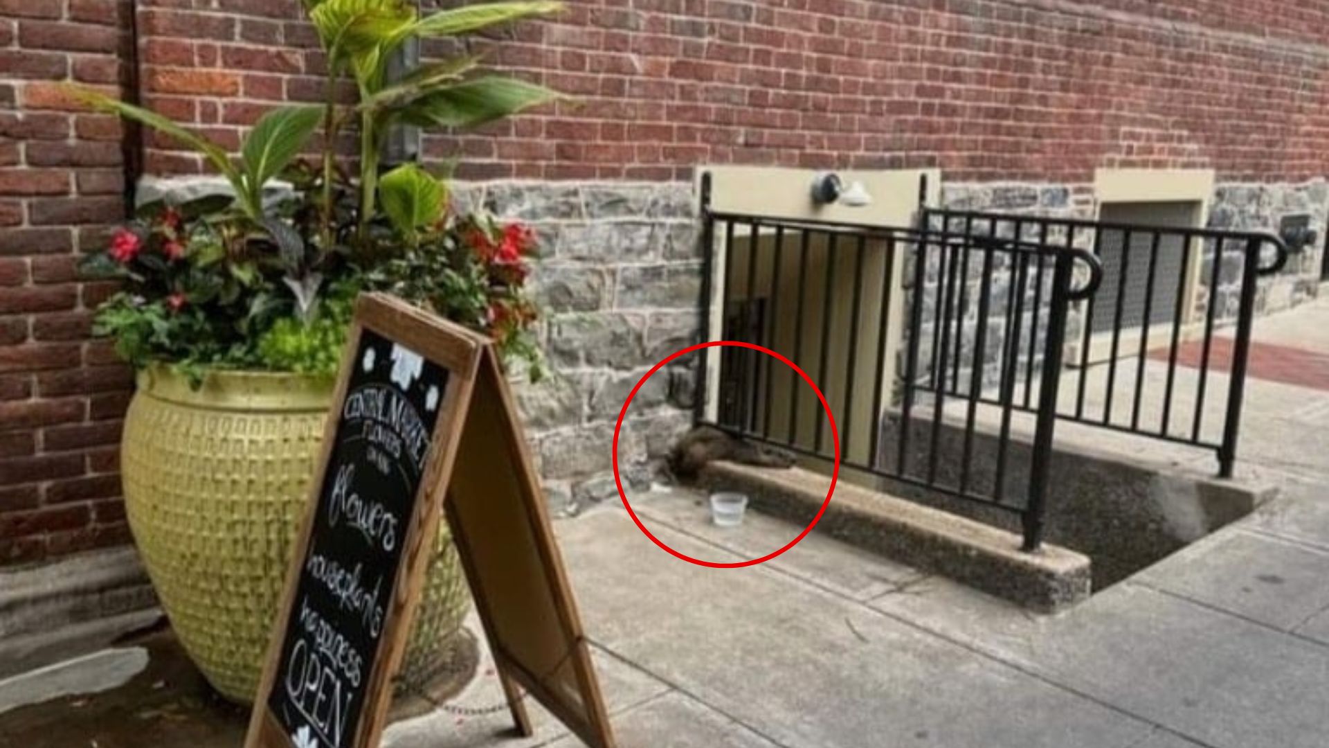 Couple Shocked By A Mystery Visitor Hiding Beside A Busy Pennsylvania Stairwell