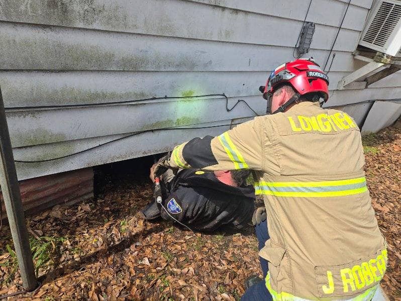 Firefighters pull kittens out from under house