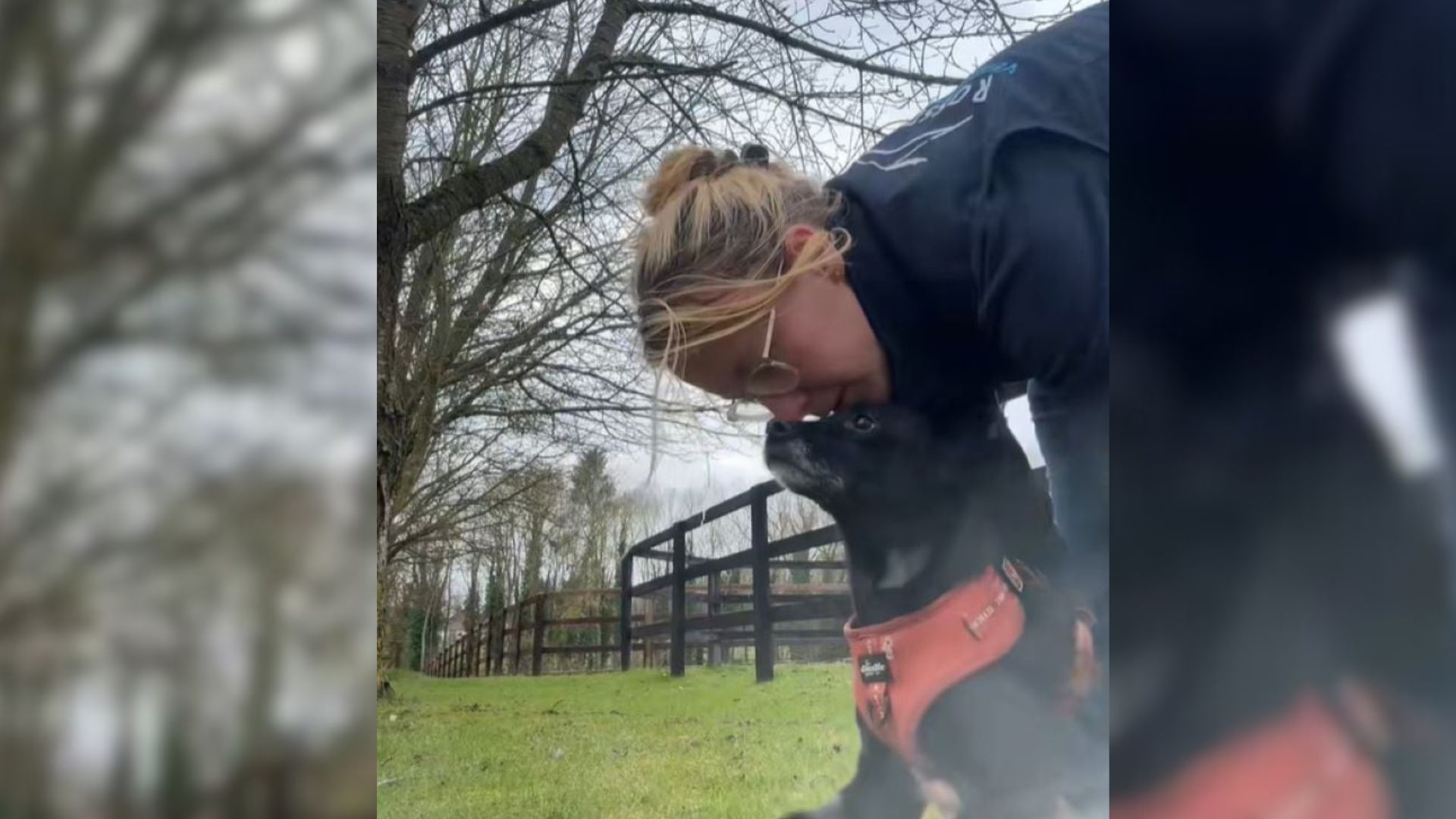 Florida Woman Notices Something Wrong With Her Dog And Races For Answers