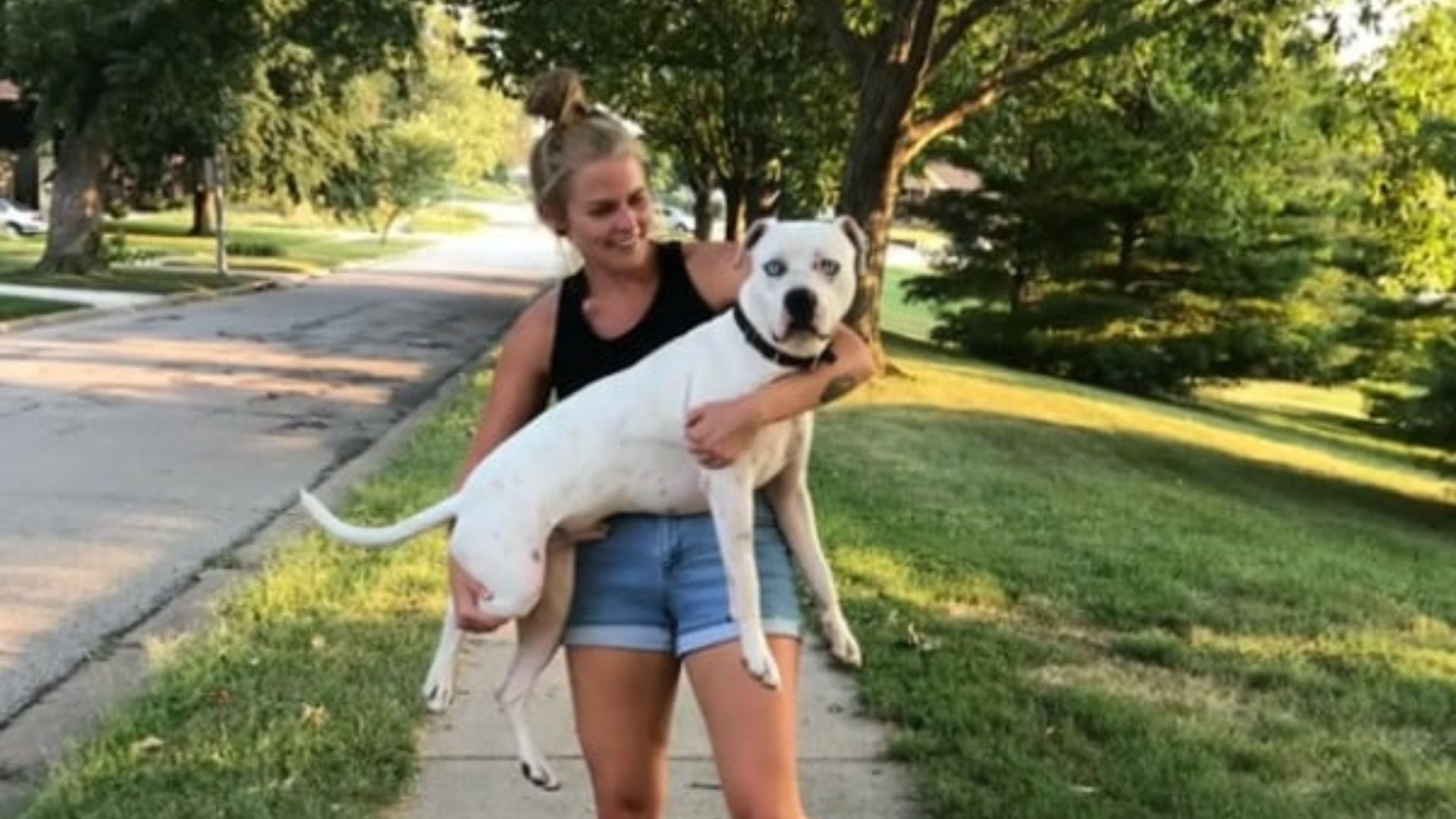 Heartwarming Reunion For Ohio Woman And The Foster Dog She Never Forgot