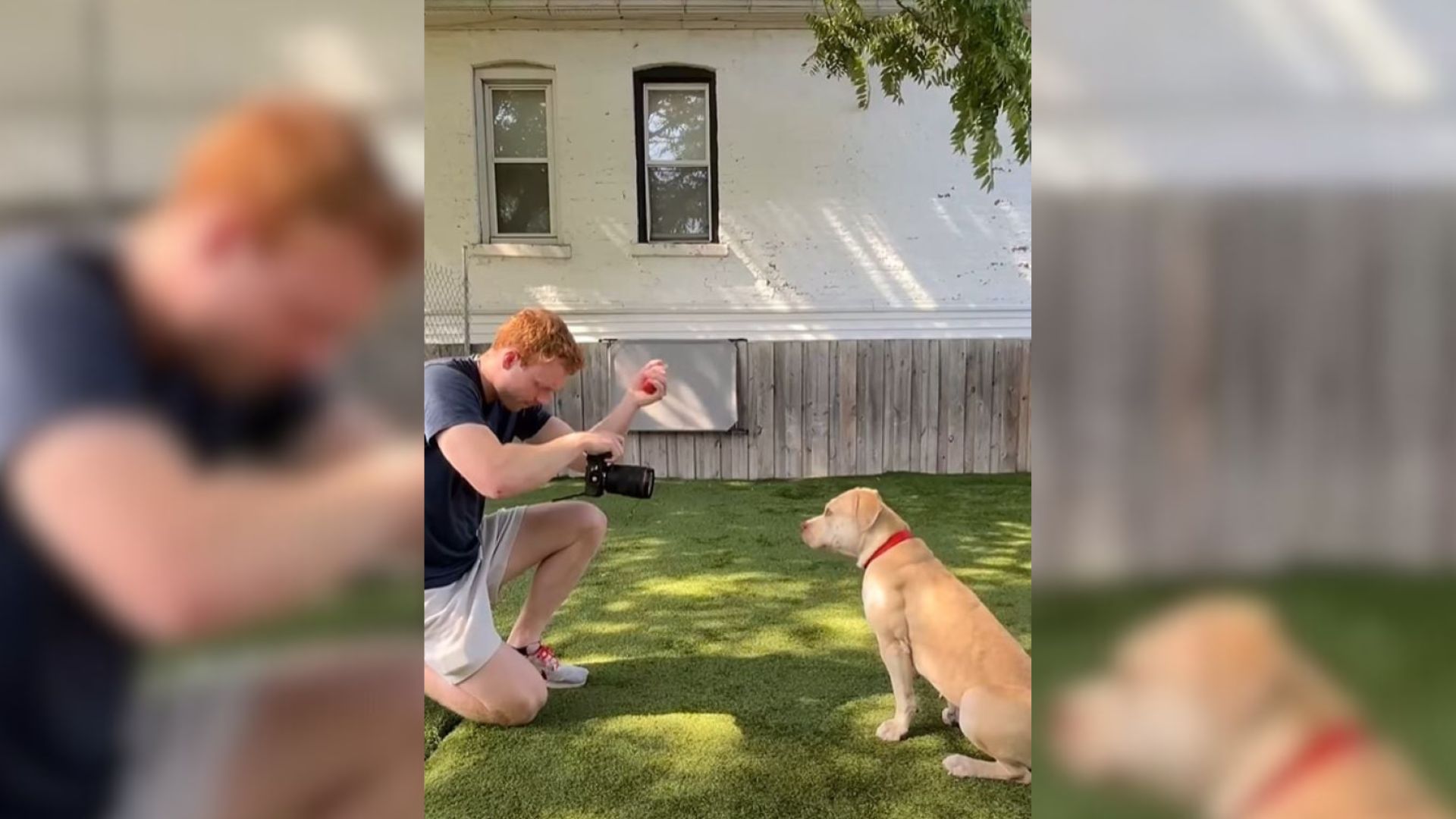man taking a photo of dog
