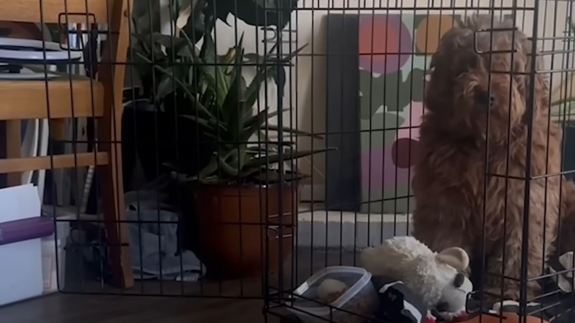 Compassion Can Heal Even The Deepest Wounds