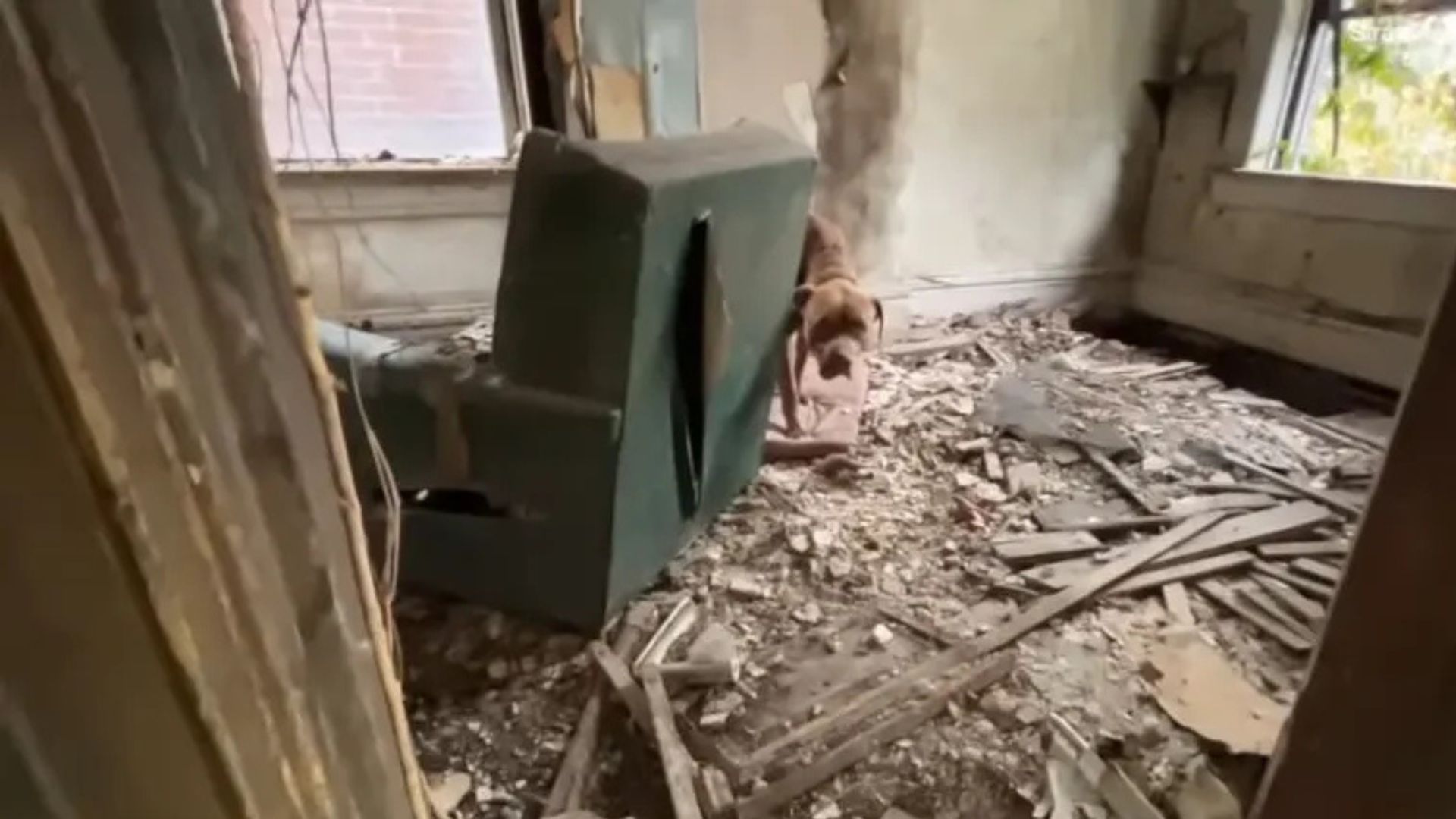 Missouri Rescue Team Confronts A Collapsing House To Save A Pup In Peril