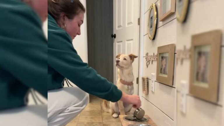 woman and dog in house