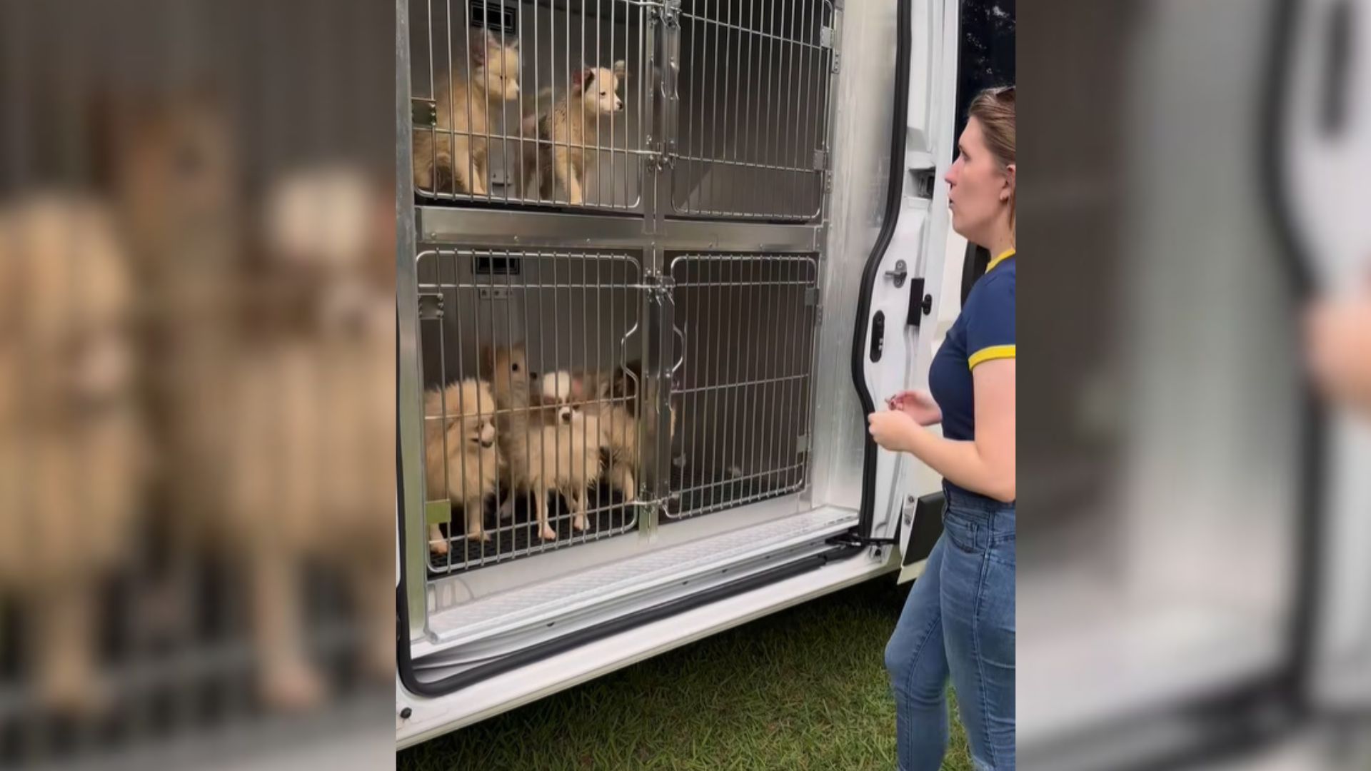 North Carolina Rescue Workers Face A Hidden Nightmare Inside A Suburban Home