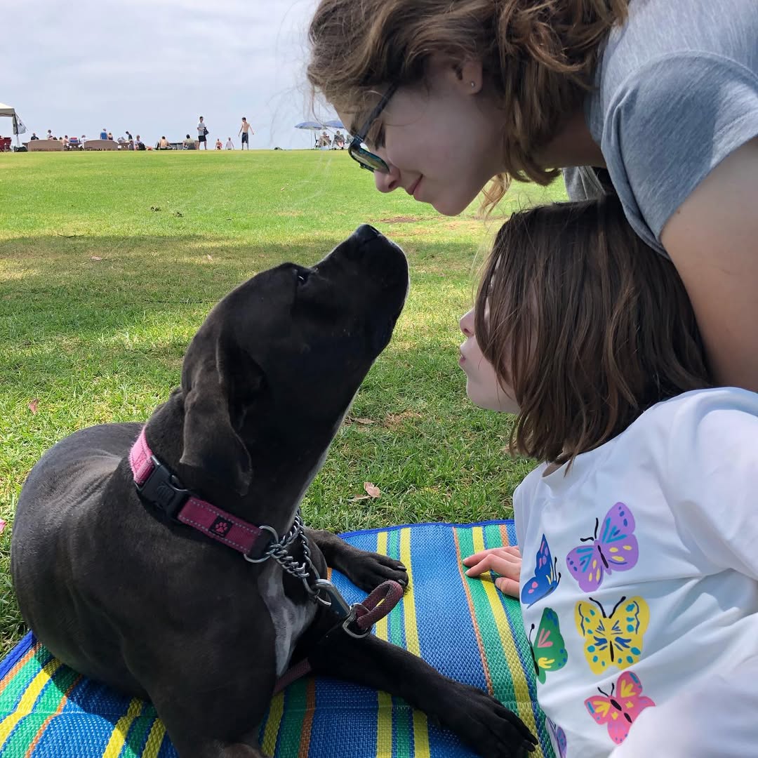 Pitbull and mother with kid