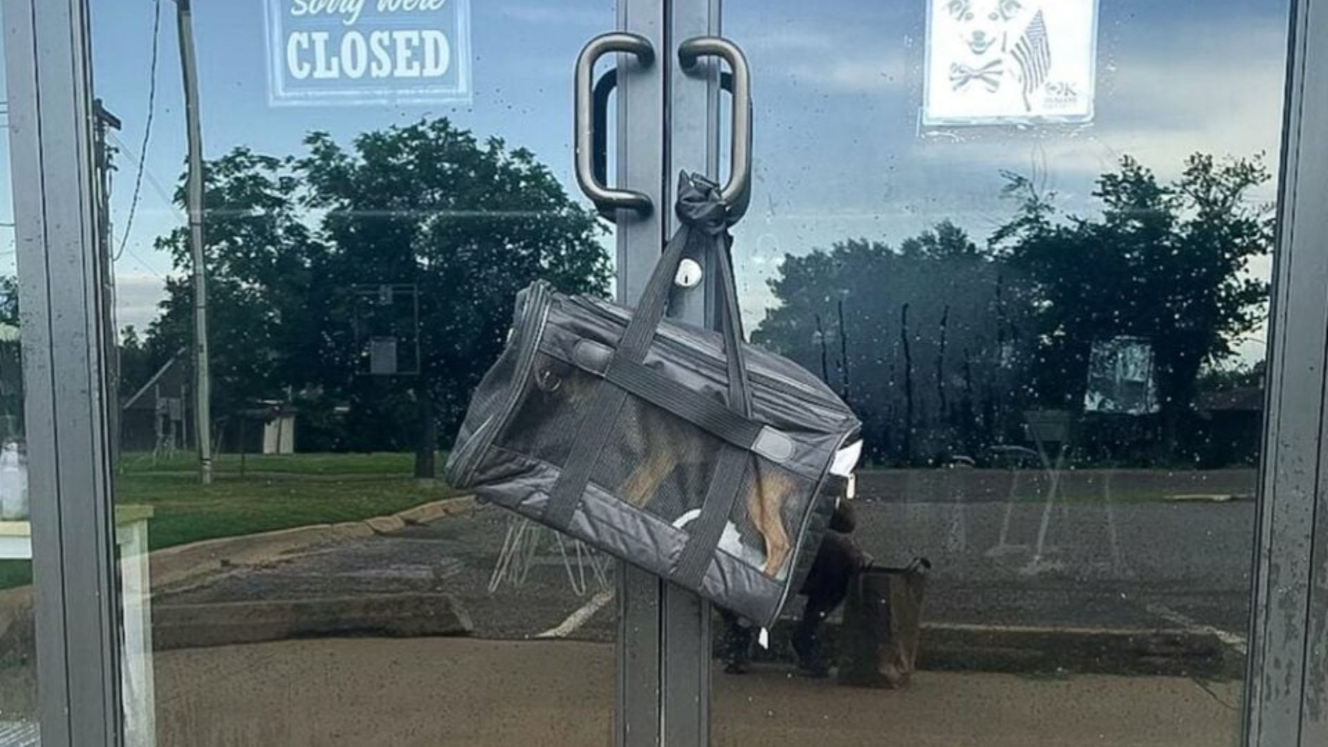 Shelter Staff In Oklahoma Discover A Dog Left In A Bag, Bringing Attention To Rising Abandonment