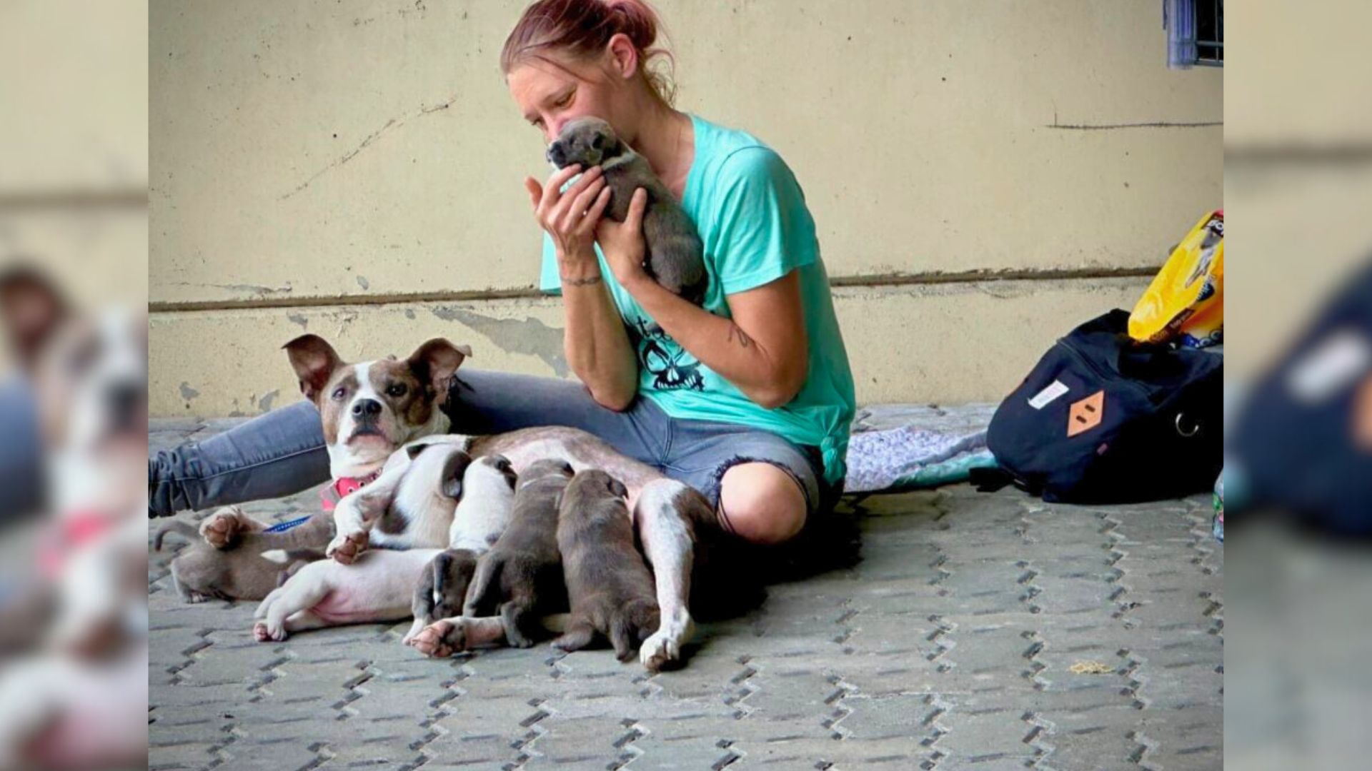 Texas Man Notices A Homeless Woman With Her Dog And 8 Puppies And His Actions Inspire A Community
