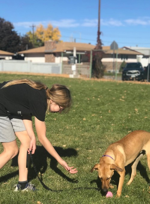 The girl is playing with the dog