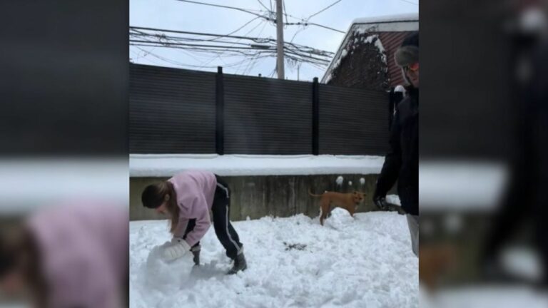 girl making snowman
