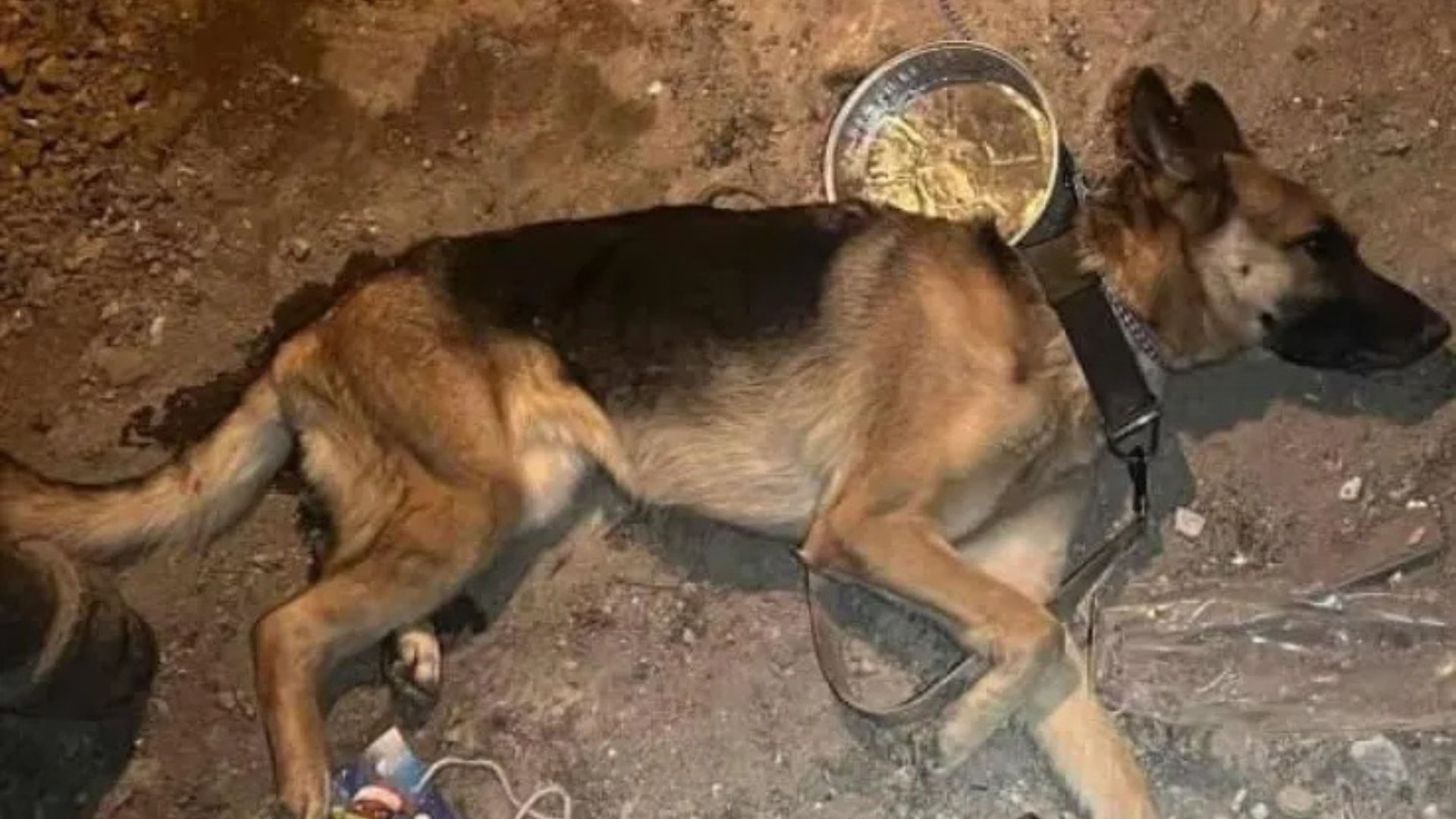 What Rescuers Found Beneath This New York