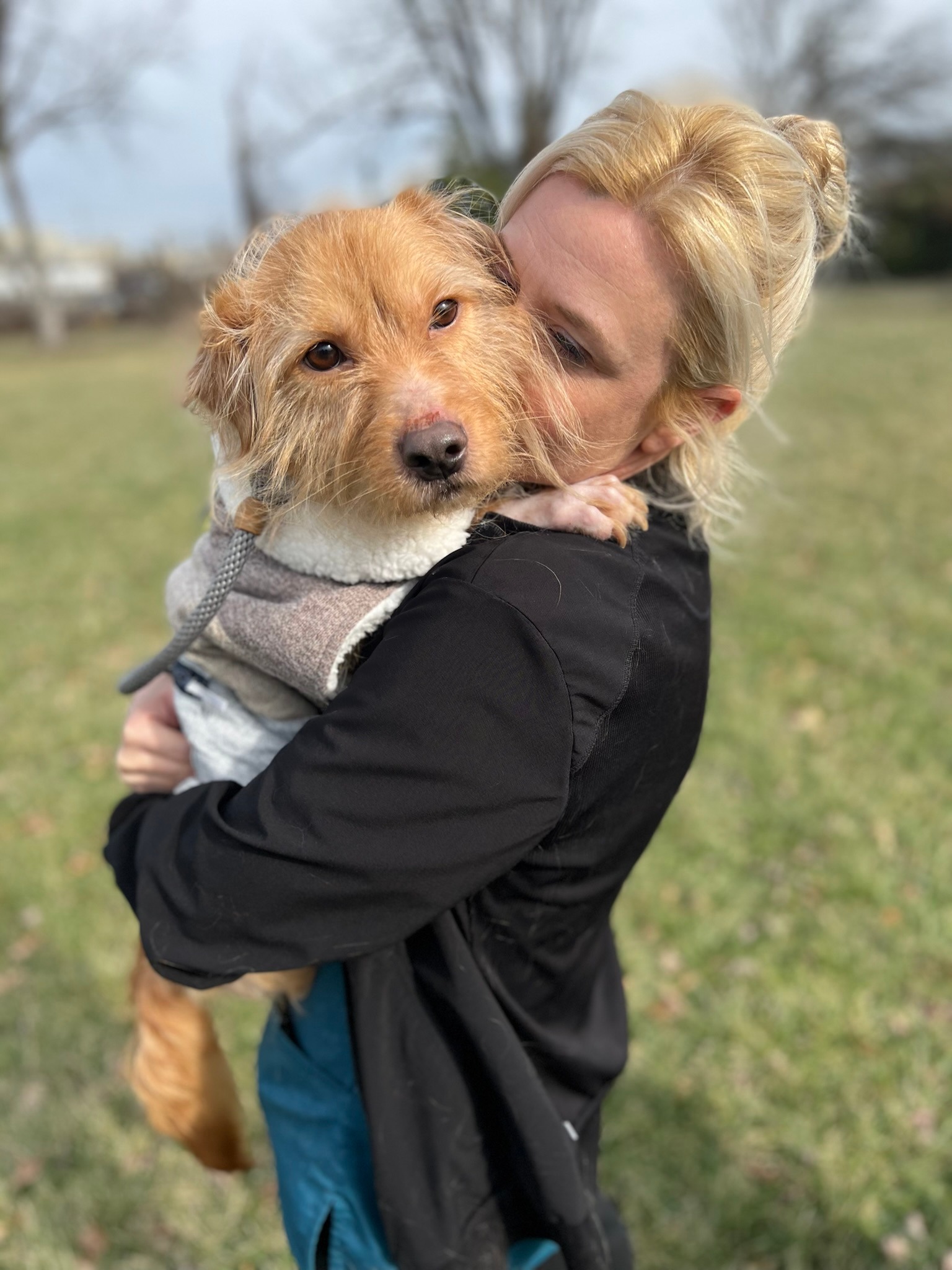 a woman holds a dog in her arms and hugs it