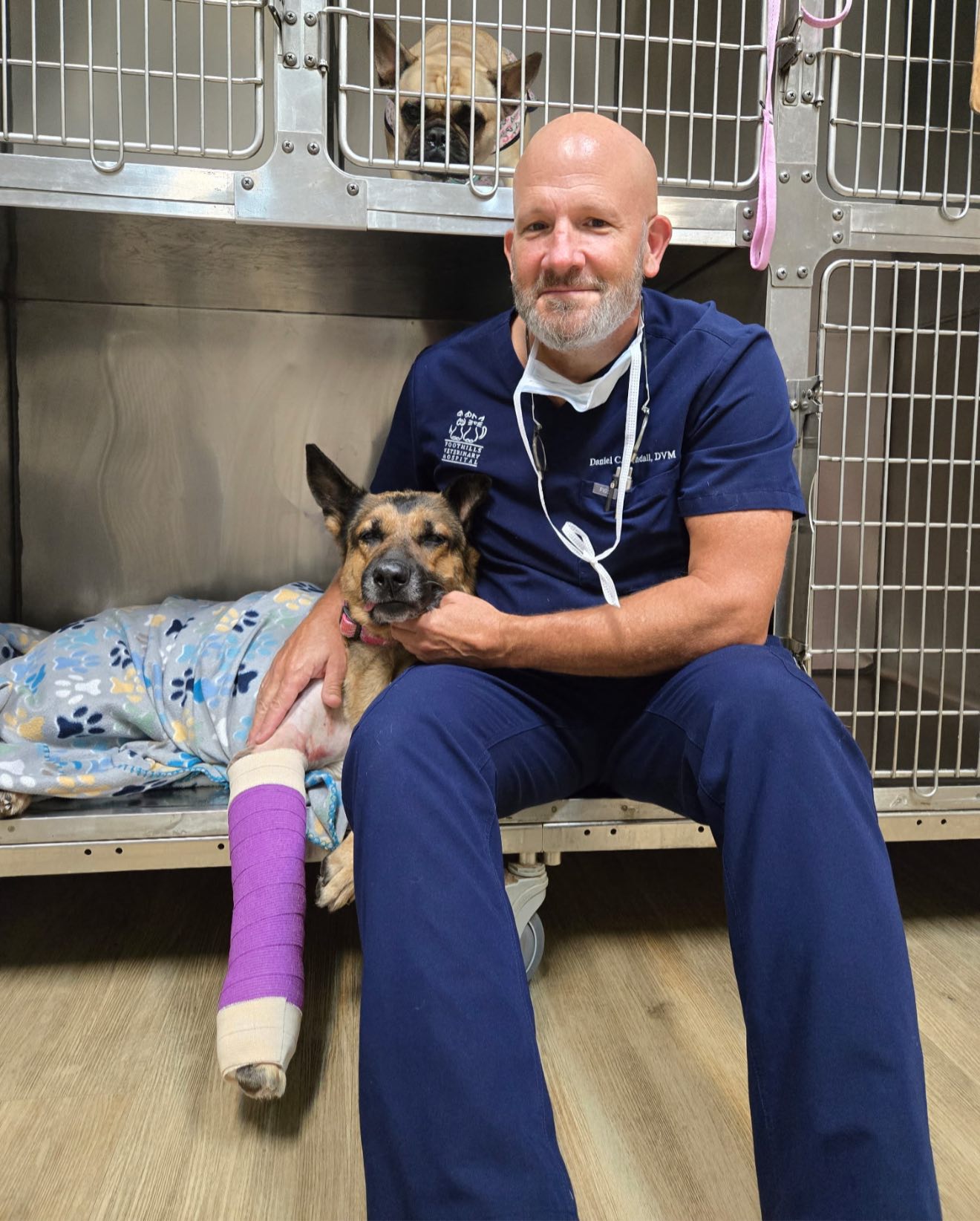 bald vet and injured dog