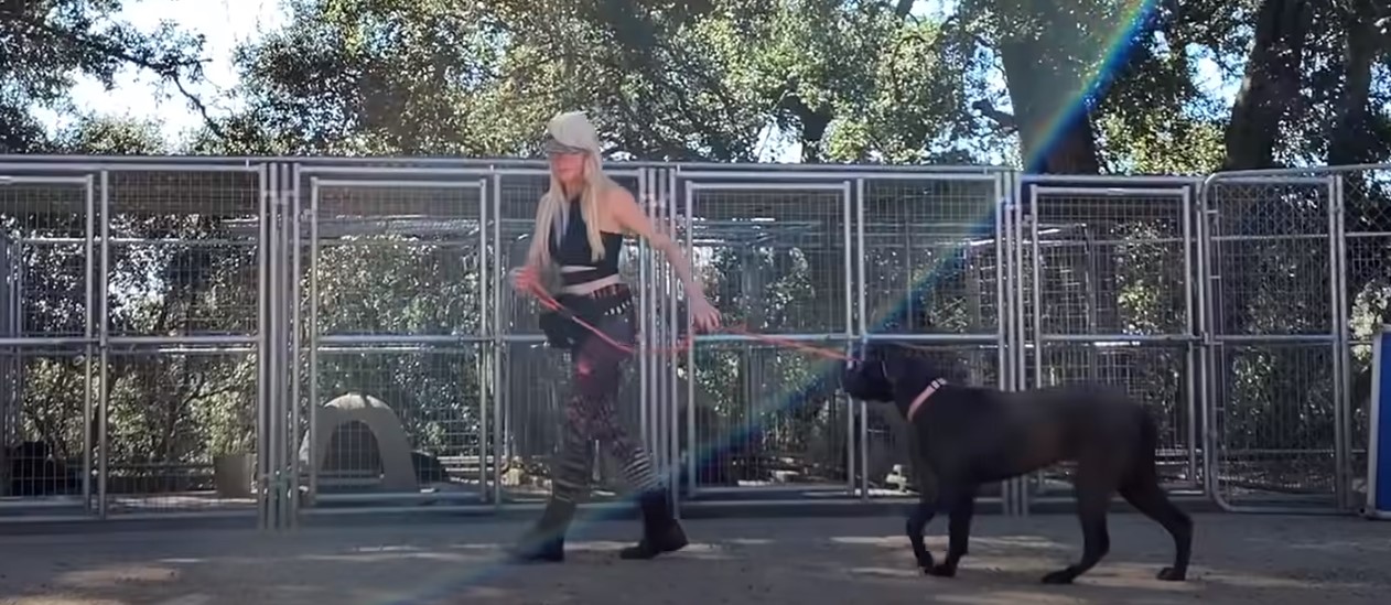 blonde woman walking a dog