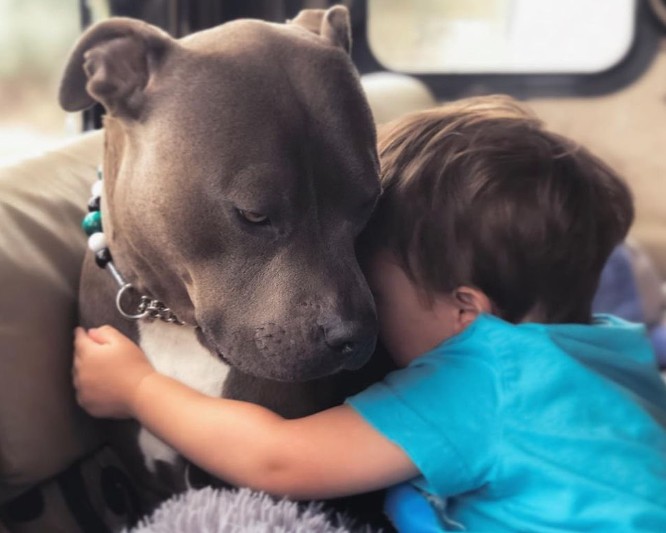 boy hugging dog
