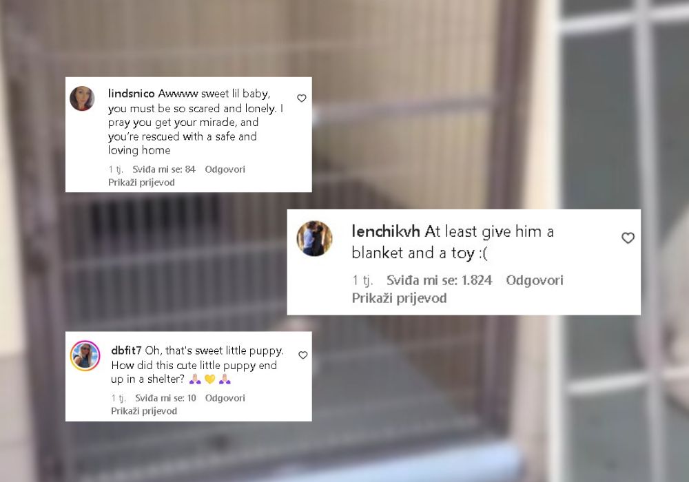 comments on instagram