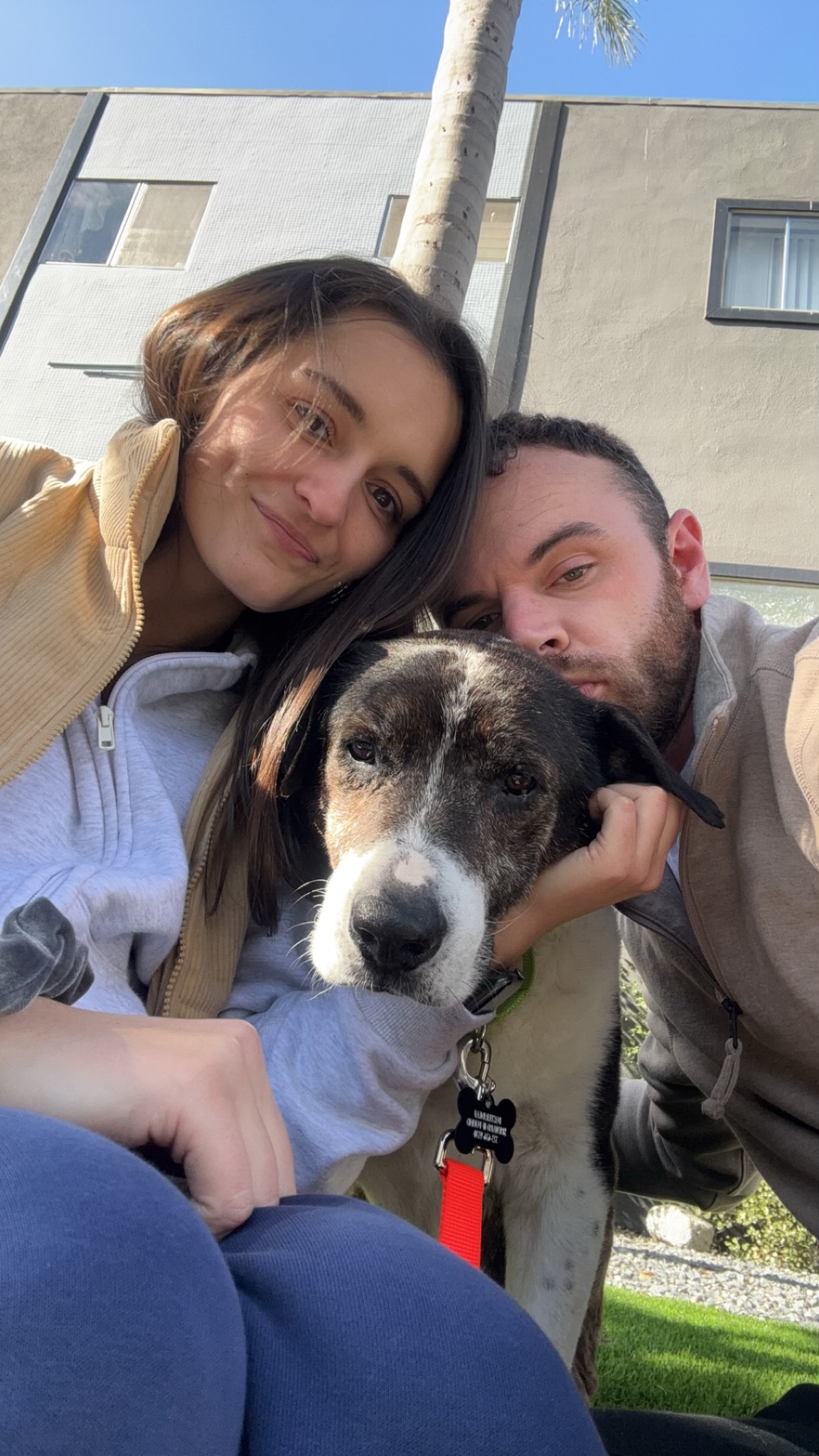 couple and adorable dog