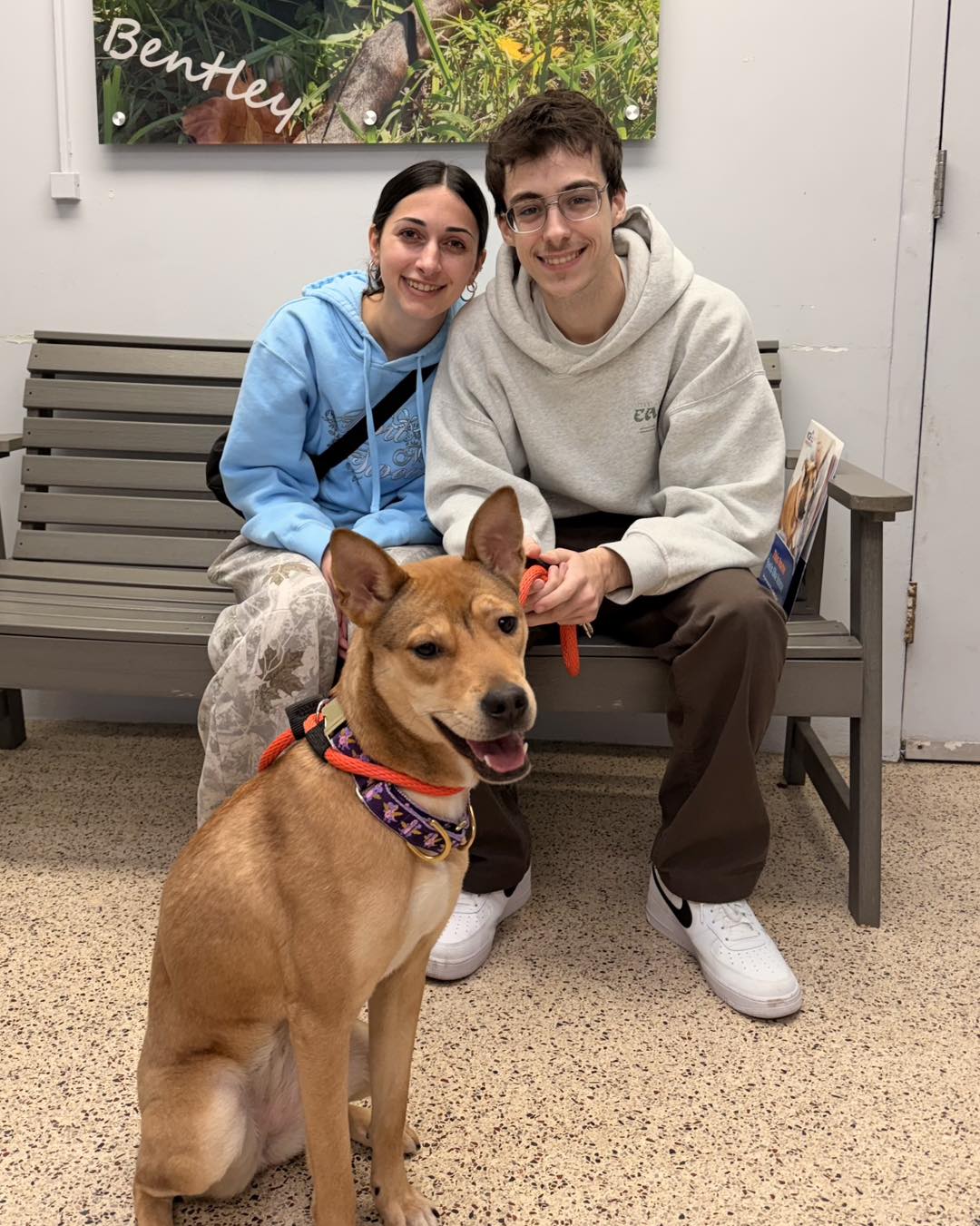 couple and brown dog