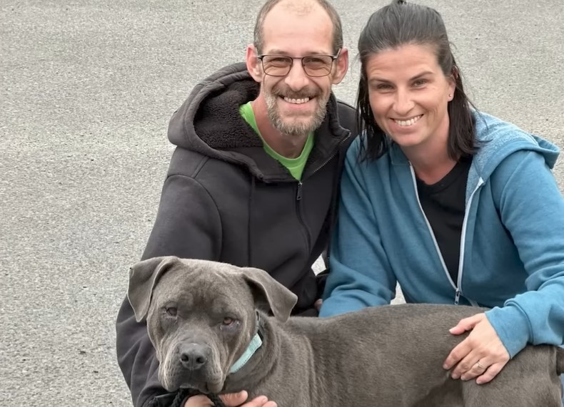 couple and gray dog