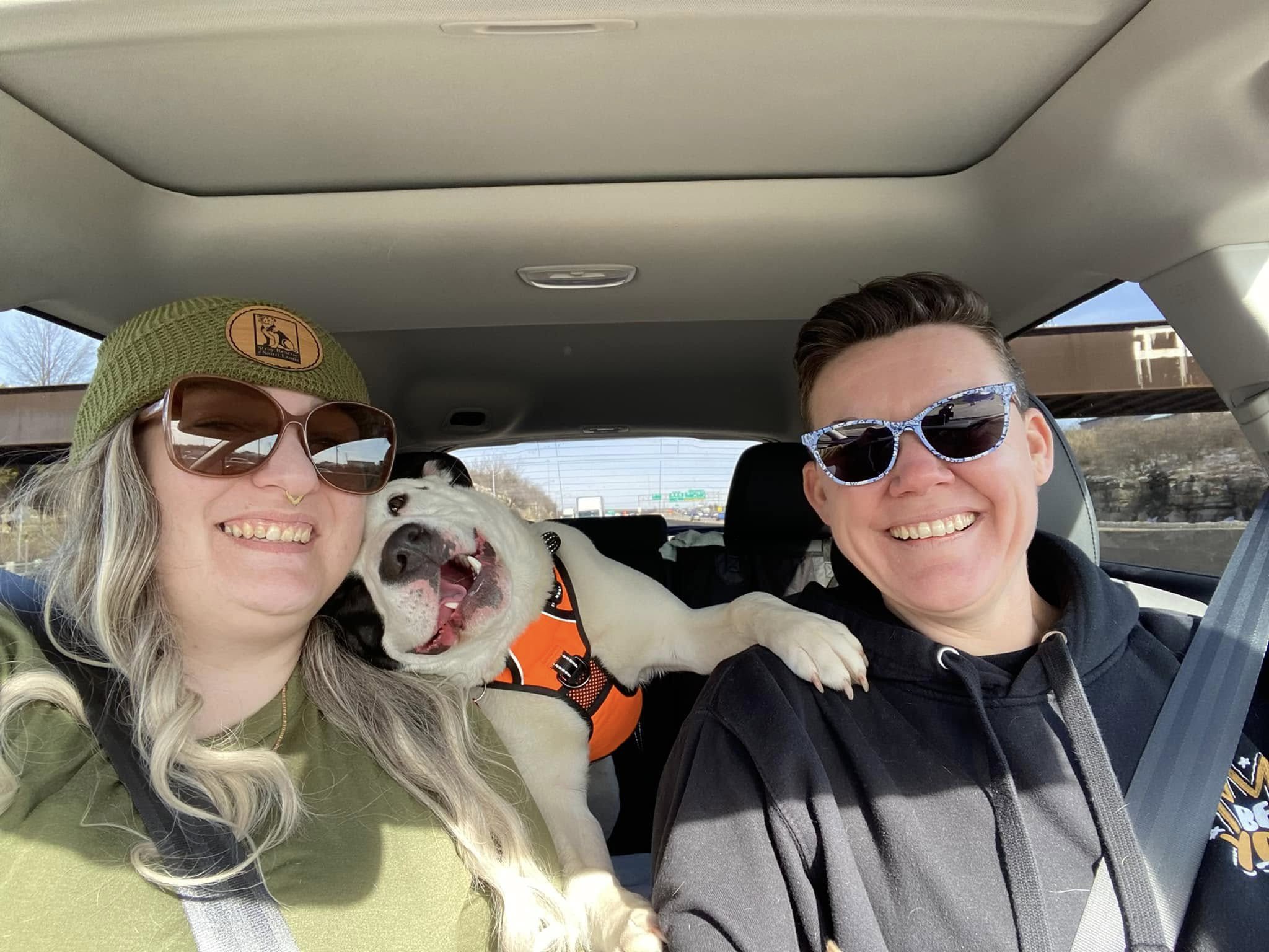couple and white dog in car