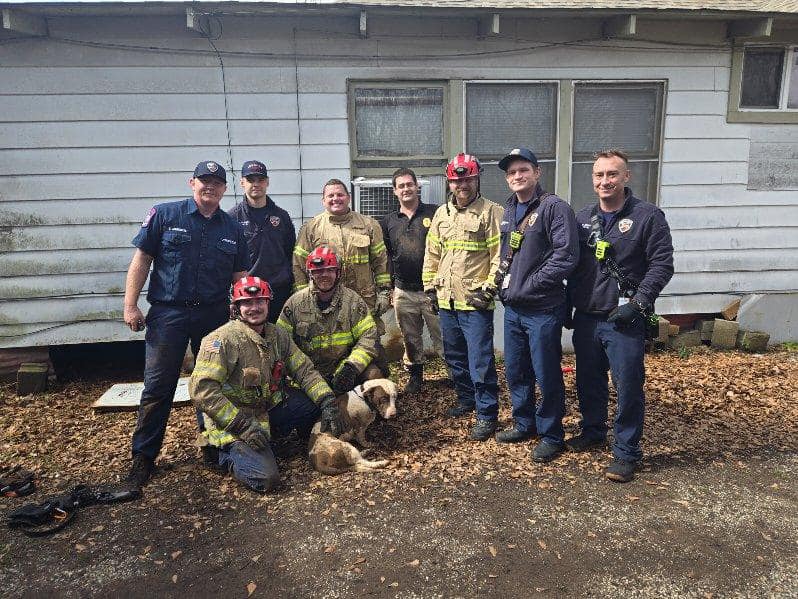 firefighters in front of the house