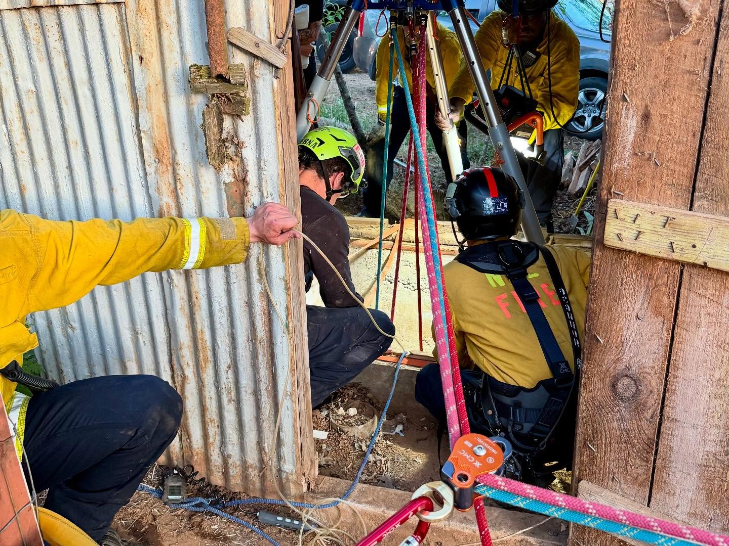 firefighters saving a dog