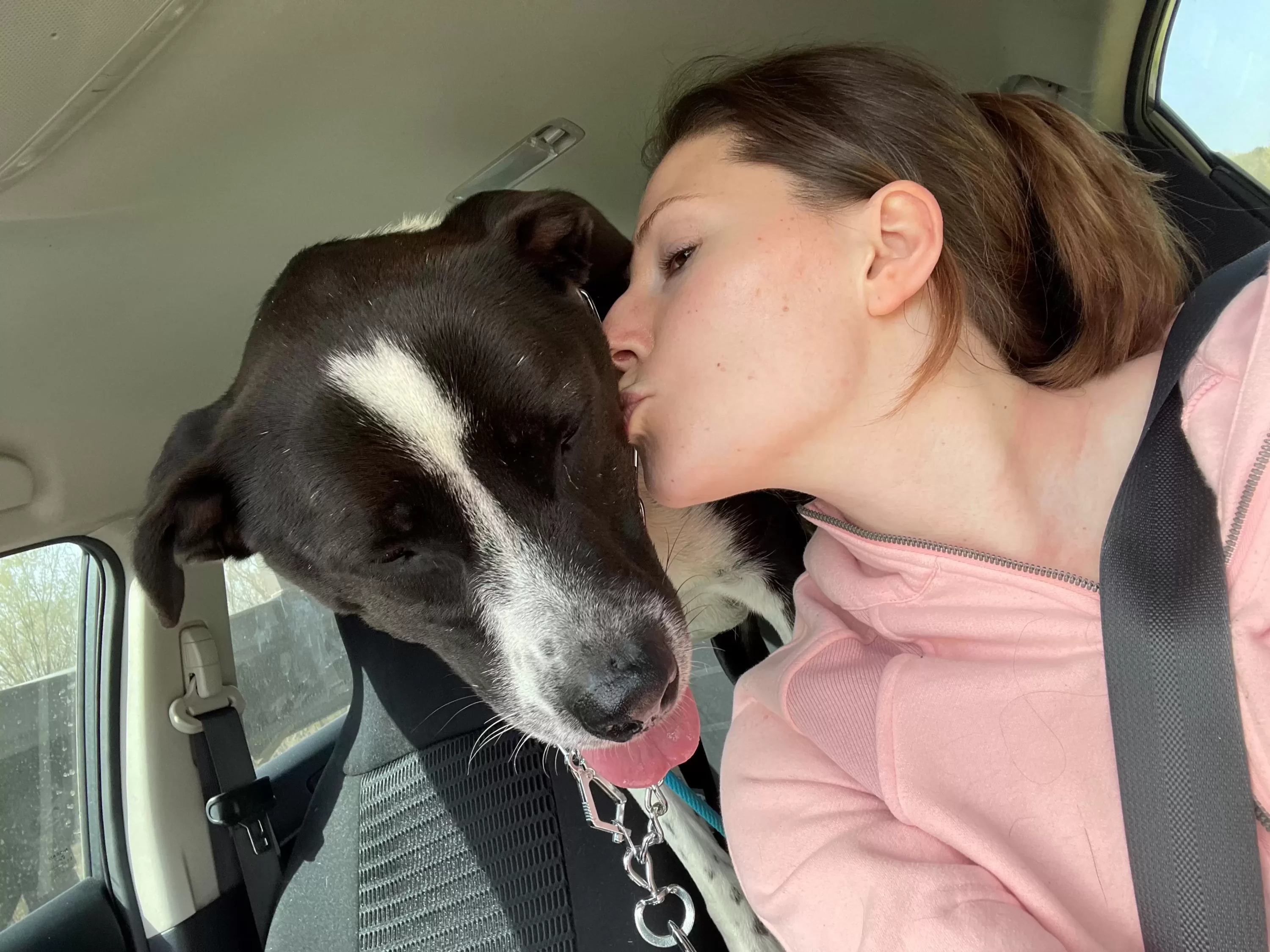 girl in the car kisses the dog