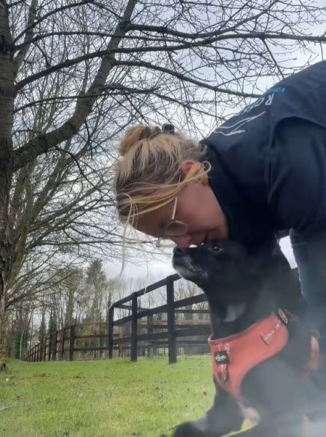girl kisses dog on the head