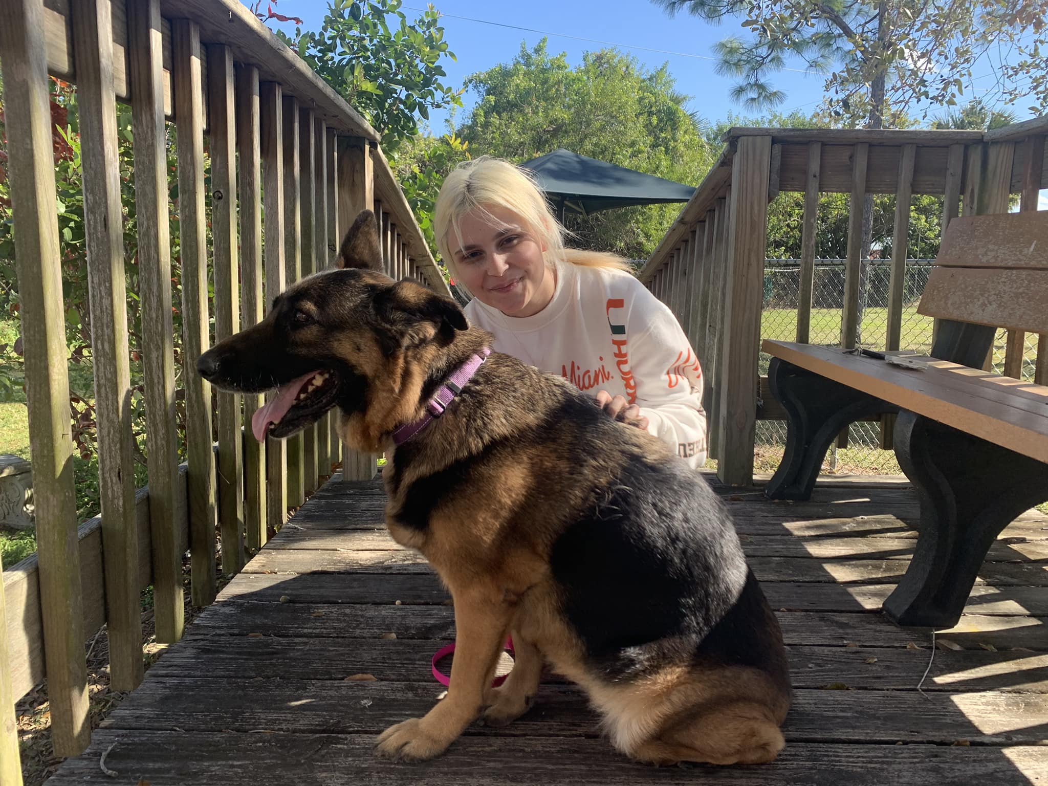 girl sitting next to a German shepherd