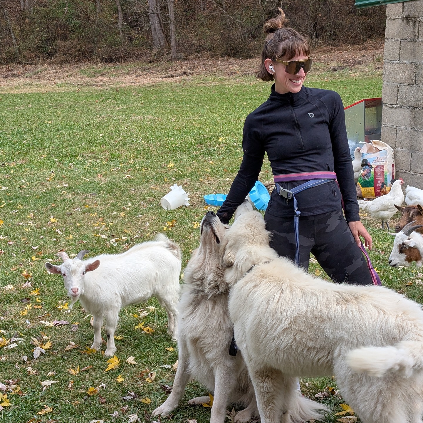 happy woman with dogs and goat