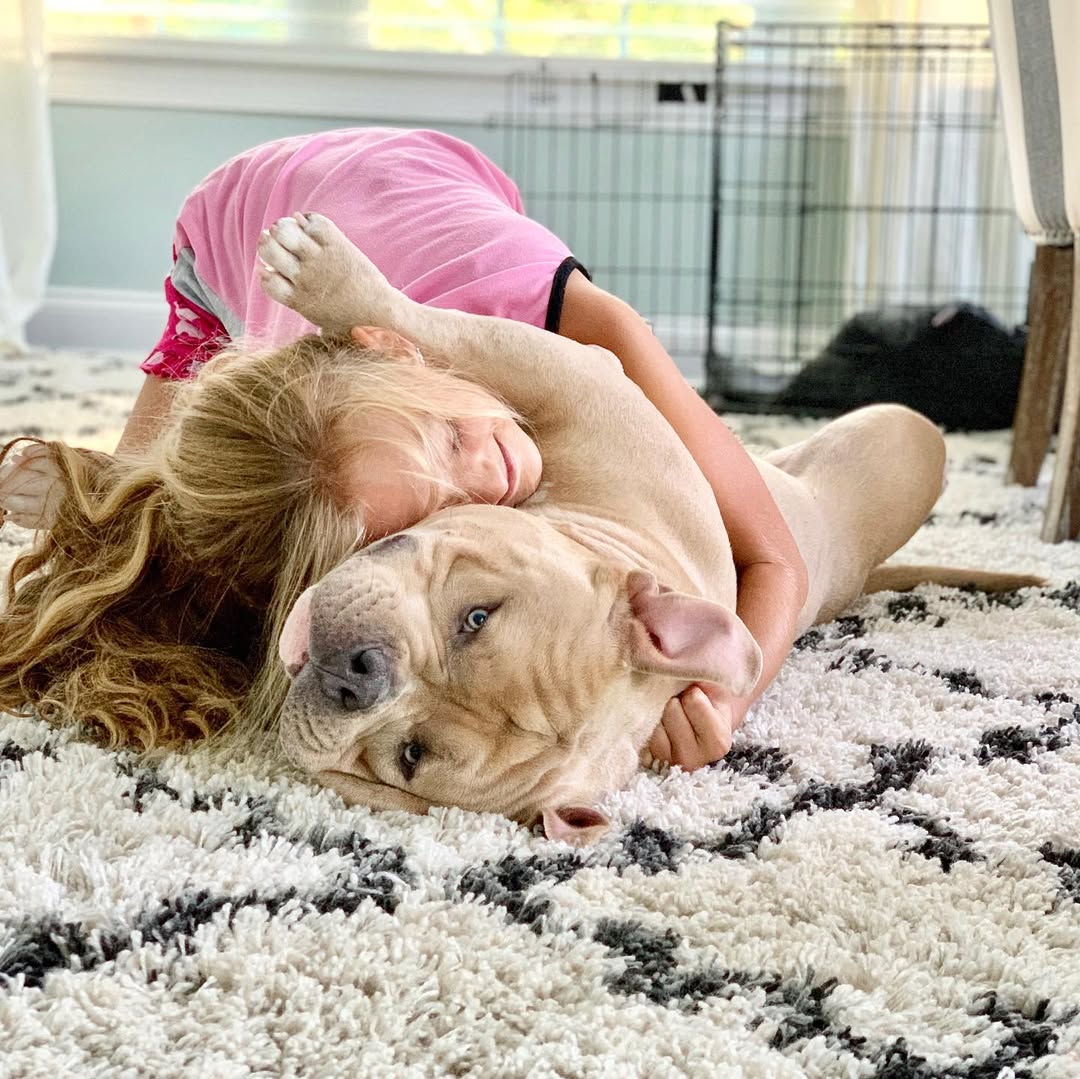 kid and dog playing together