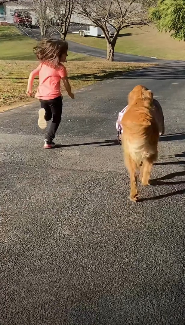 kid and dog running