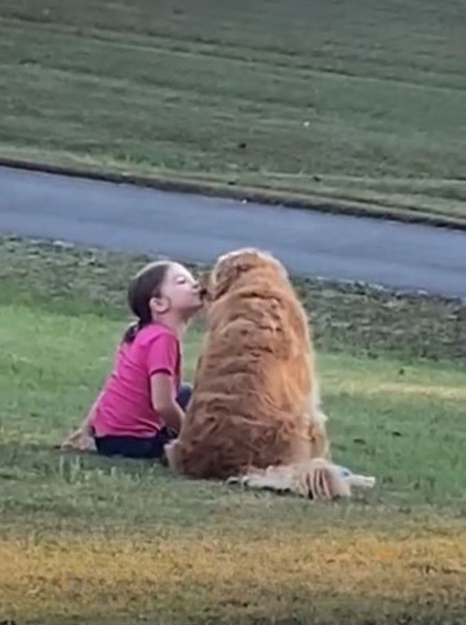 kid kissing a dog