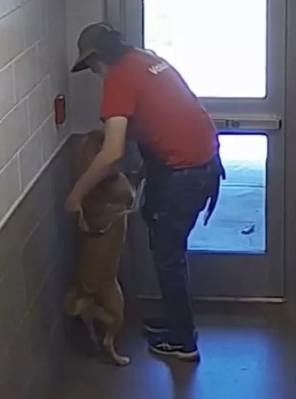 man and dog by the door