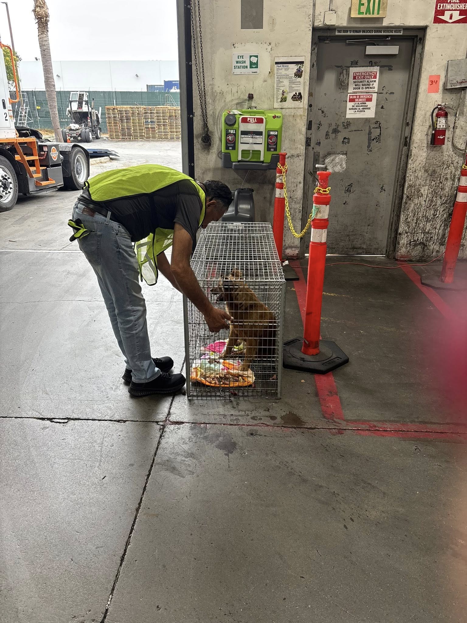 man and dog in crate