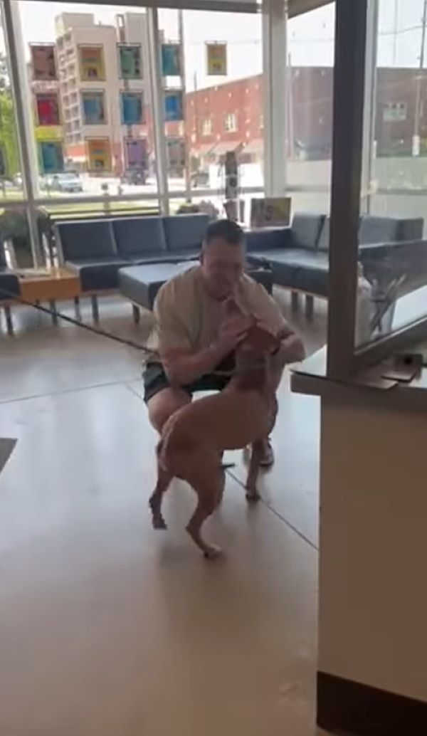 man and dog on leash