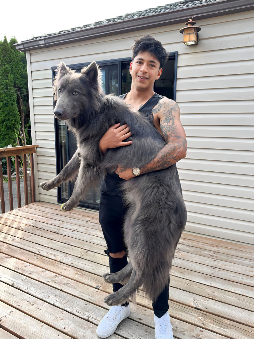 man holding a giant black dog