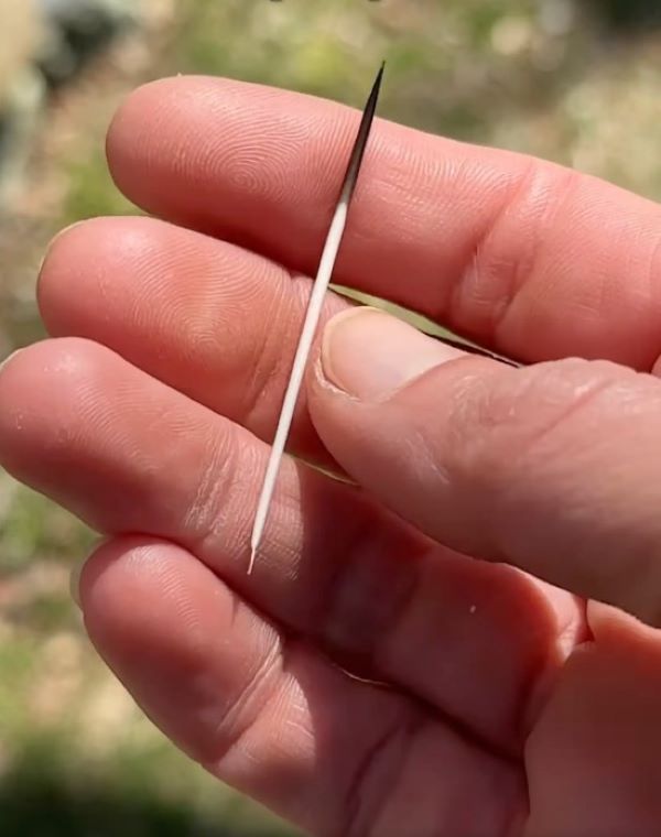 man holding a needle