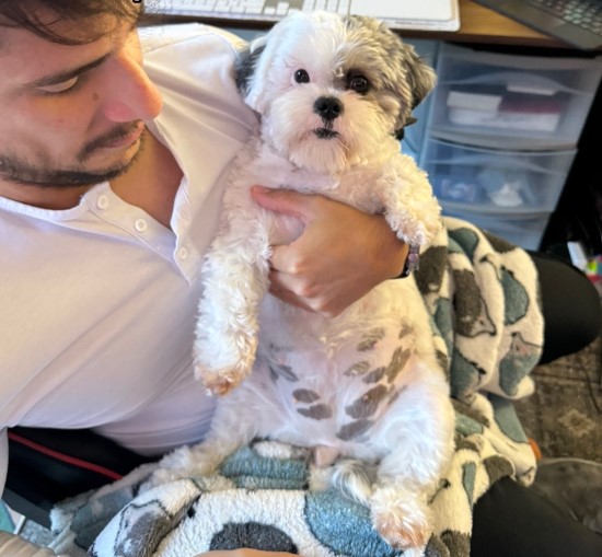 man holding a sweet white dog