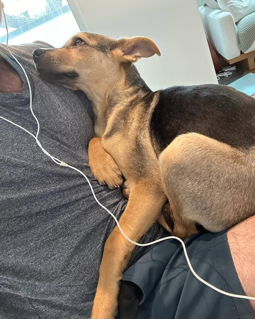 man holding a very sweet pup